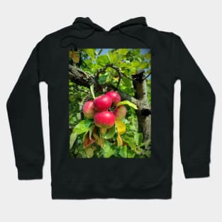 apple grape Hoodie